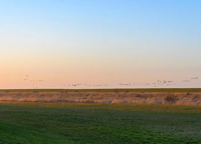 Wattperle * Greetsiel